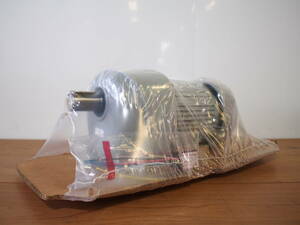 ☆【1T0124-9】 未使用品 GTR G3LB-28-200-T020 3-PHASE INDUCT ION MOTOR モーター TETA10 0.2kw 4P 動作保証