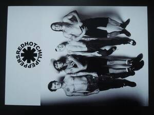 A4 額付き ポスター レッドホットチリペッパーズ Red Hot Chili Peppers レッチリ アート 写真 