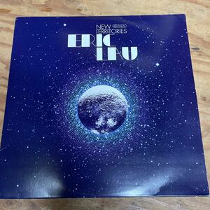 ERIC LAU エリック・ロウ/NEW TERRITORIES Neo Soul名盤2LP（A486）