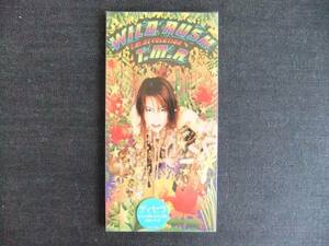 CDシングル8㎝-3　　T.M.Revolution　 WILD RUSH 　　ティー・エム・レボリューション　音楽　歌手　同梱発送可能　T.M.R　　TM