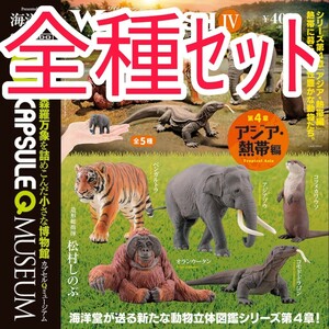 全種セット【新品未使用】カプセルQミュージアム WILD RUSH 真・世界動物誌Ⅳ アジア・熱帯編 ガチャガチャ カプセルトイ フィギュア