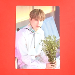 防弾少年団 BTS 2021 MUSTER SOWOOZOO 公式 MINI PHOTO CARD ランダム ミニフォトカード JIMIN 4 ジミン