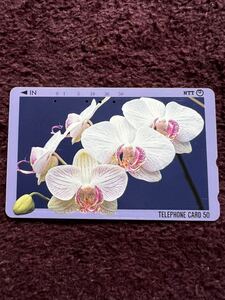 花　植物　テレホンカード　使用済み　50度数