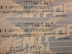 6月22日　ヴァンフォーレ甲府vs愛媛FC　メイン自由席　２枚