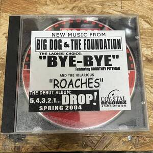 ◎!! HIPHOP,R&B BIG DOG & THE FOUNDATION - BYE-BYE シングル CD 中古品