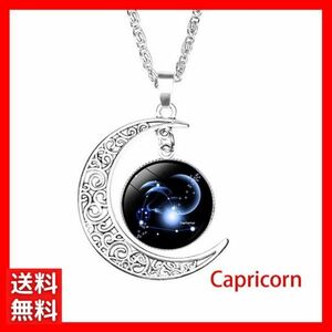 ネックレス シルバー チェーン 月 ムーン 12星座 山羊座 やぎ座 カプリコン CAPRICORN レディース 韓国 三日月 ペンダント #C1159-2