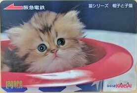 かわいい！ネコちゃん！使用済】 スルッとKANSAI 阪急電鉄 猫シリーズ 帽子と子猫☆彡コレクターの方に＾＾送63円～～！