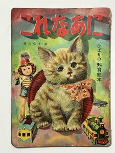 これなあに　昭和28（1953）年　横山弘史 絵　ひばりの知育絵本　ひばり書房