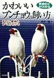 医食住がよくわかる かわいいブンチョウの飼い方 手のり・繁殖のすべてがわかる/高木一嘉(著者)