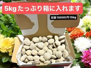 【奈良発】植物にリンは必要なのよ♪《2000円》プロ造園屋御用達 【箱5kg 】ウッドエース 4号 12-6-6-2 ＩＢ肥料 成型肥料