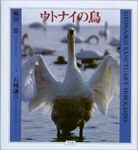 【中古】 ウトナイの鳥