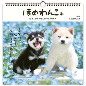 ホールマーク 2025年 カレンダー 壁掛け 大 ほめわんこ 834-623