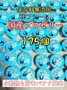 KBファーム 国産プロゼリー16g 175個 カブトムシ クワガタ 昆虫 オオクワガタ