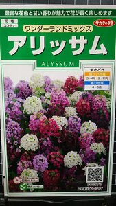 ３袋セット アリッサム ワンダーランド 種 郵便は送料無料