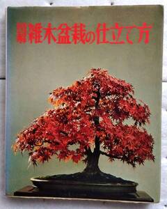 図解　雑木盆栽の仕立て方 ガーデンライフ
