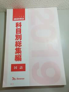 ★良品　ベネッセ 進研模試 2019年度 科目別総集編　国語　送料185円★