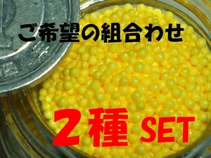 ■果実シナリー【ご希望の２種SET…ミカン・リンゴ・柿・桃・レモン（ゆず）の実 】　定型外郵便 送料込