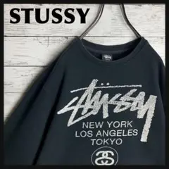 【即完モデル‼︎】STUSSY◎ワールドツアー スウェット C259