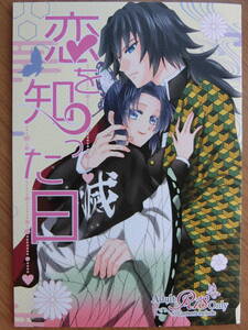 鬼滅の刃　同人誌「恋を知った日」可視光線光　冨岡義勇×胡蝶しのぶ　ぎゆしの