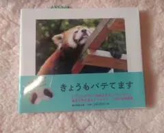 新品未使用朝日新聞出版　今日もバテてます　動物写真集