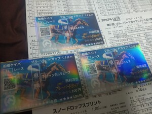 船橋競馬場◆第51回ブルーバードカップJpnⅢ◆勝馬メルキオル、2着クァンタムウェーブ、4着ミストレス◆オリジナル記念馬券◆印刷物