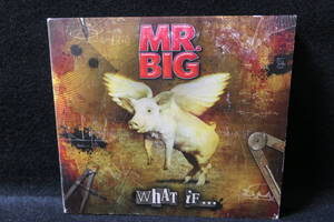 ●送料無料●中古CD● MR.BIG / ミスタービッグ / What If... / IECP-10236