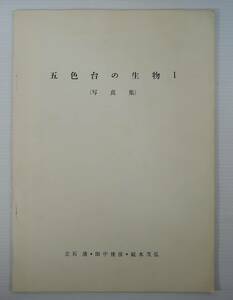 ☆BOX4■五色台の生物１（写真集）■香川県自然科学館/１９７４年/立石清・田中俊彦・続木茂弘