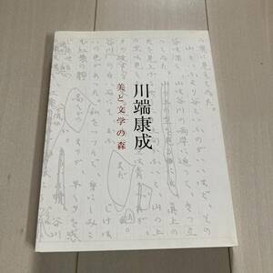 J 2017年発行 「川端康成 美と文学の森」 久留米市美術館