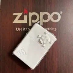 【未使用品】zippo 2010年 レギュラー ジッポー