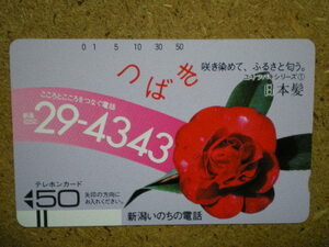 hana・110-6181　新潟いのちの電話　つばき　椿　未使用　50度数　テレカ