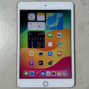 SIMフリー Apple iPad mini 5 Wi-Fi + Cellular 64GB MUX72J/A ゴールド 判定○ SIMロック解除済 Apple アップル