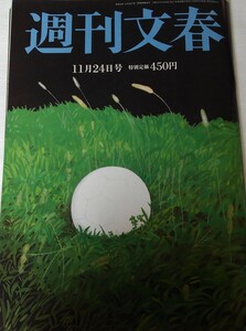 週刊文春　令和４年１１月２４日号　　羽生結弦　桜田ひより　女子プロレス（ジュリア・ちゃんよた・白川未奈・レディ・C）