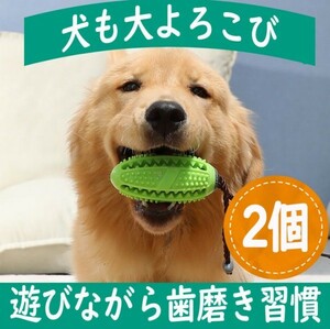 安心の匿名配送　お得な２個セット【世界で大ヒット】犬の歯磨き　おもちゃ　知育グッズ　犬のストレス発散　しつけ　デンタルケア　A２