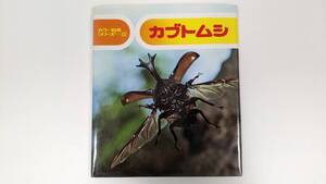 カラー自然シリーズ22　カブトムシ 七尾純、小田英智、久保秀一 偕成社