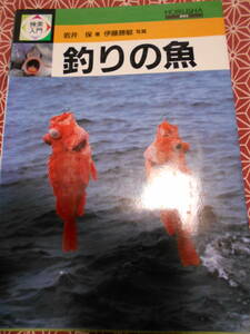 ☆釣りの魚 (検索入門) 岩井 保 (著), 伊藤 勝敏☆表紙の写真こんなの使うのですね。。。さかなについて知識を得たい方いかがでしょうか？