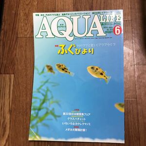 月刊アクアライフ☆AQUA LIFE☆2014年6月号☆フグ☆デルヘジィ☆春の水草レイアウト☆グラスハチェット