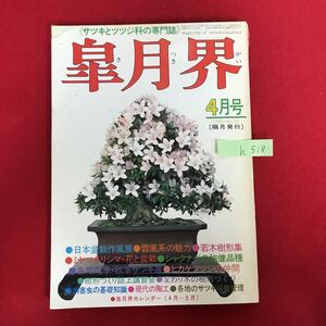 h-518 ※5/ 《サツキとツツジ科の専門誌》 皐月界 ●日本盆栽作風展●霖風系の魅力若木樹形集 ●ミヤマキリシマ・花と盆栽 昭和55年4月1