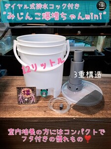 【倭めだか】 “みじんこ爆増くん” タマミジンコ オオミジンコ タイリクミジンコ 培養 装置 PSB 鶏糞 生クロレラ で増殖 メダカの餌