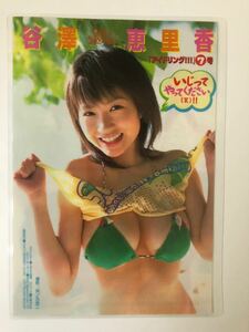 谷澤恵里香　厚ラミネート加工　B5　７P　ヤンマガ切り抜き