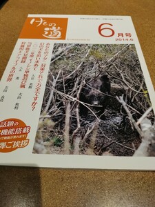 けもの道2014.6 雑誌