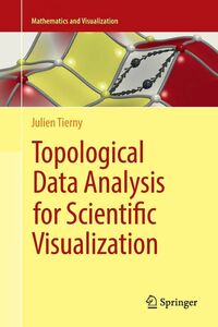 [A12293334]Topological Data Analysis for Scientific Visualization (Mathemat