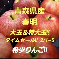 ★期間限定★青森県産 春明 激レア りんご 大＆特大玉 6~8玉 ㉜