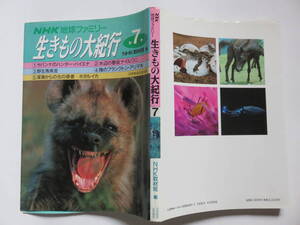 NHK地球ファミリー 生きもの大紀行 第7巻 NHK取材班編　1990年