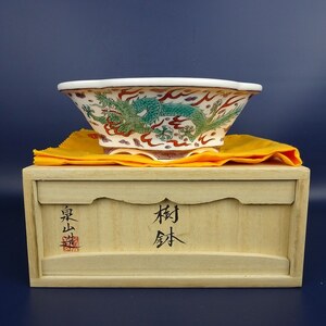 盆栽鉢 平安泉山 小型 長辺 約17cm 木瓜鉢 色絵 五彩 雲龍図 共箱 共布 観賞用 現品 新品