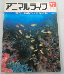 古書◆雑誌◆S47年 週刊アニマルライフ第７７号 ◆ セミイルカ★セミクジラ★セミホウボウ★セラチウム★センザンコウ★