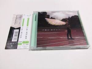 GReeeeN ハロー カゲロウ(初回限定盤) 帯付き CD+DVD　読み込み動作問題なし