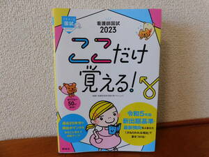 看護師国試2023 ここだけ覚える! 第6版 看護師国家試験対策プロジェクト　プチナース国試