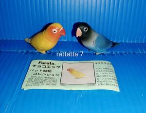 ☆チョコエッグ☆ペット動物コレクション第2弾☆059.060☆キエリクロボタンインコ☆ブルーボタン☆ルチノー☆セット☆ミニチュア