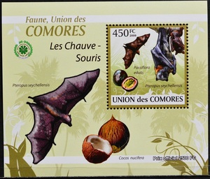 「TB294」コモロ諸島切手　2009年　コウモリ