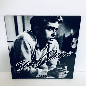 【カレンダー】ジェームス・ディーン James Dean カレンダー 1990 サイズ 約 31×31cm